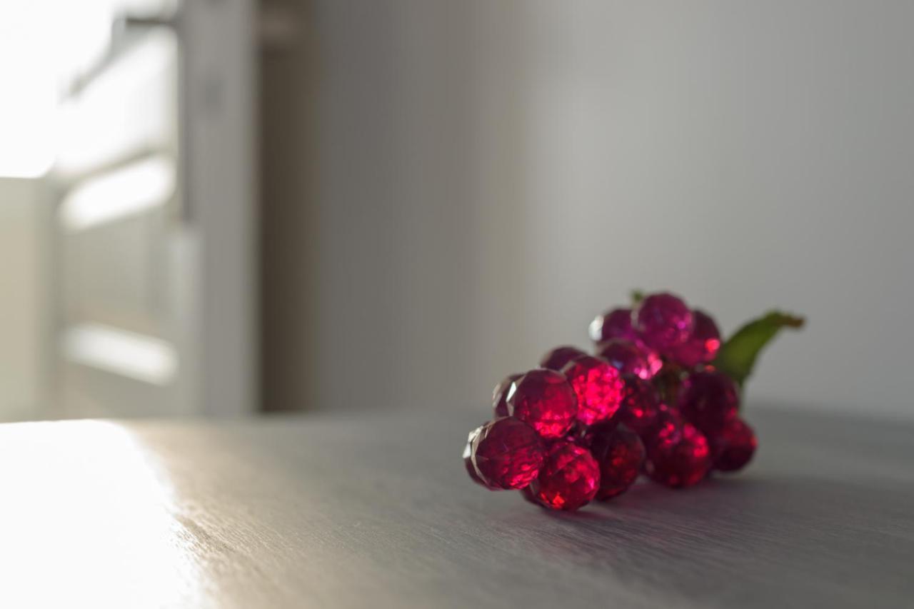 ピュイスガン Les Raisins Du Bonheur Bed & Breakfast エクステリア 写真